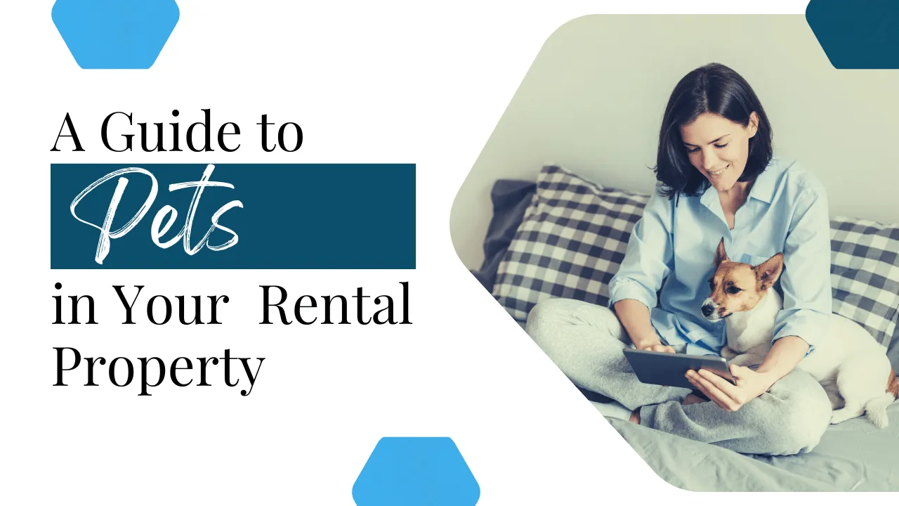 A Guide to Pets in Your Humboldt County Rental Property - Article Banner