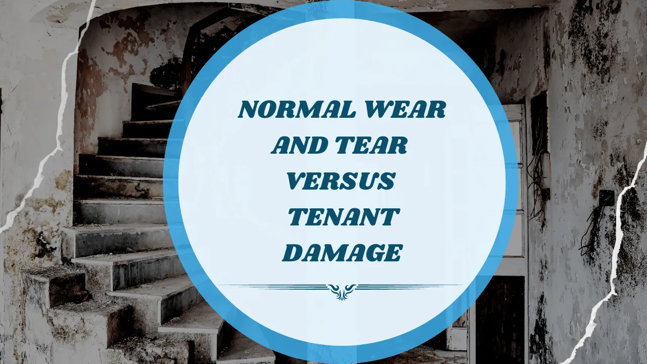 Normal Wear and Tear versus Tenant Damage | Eureka Property Management - Article Banner